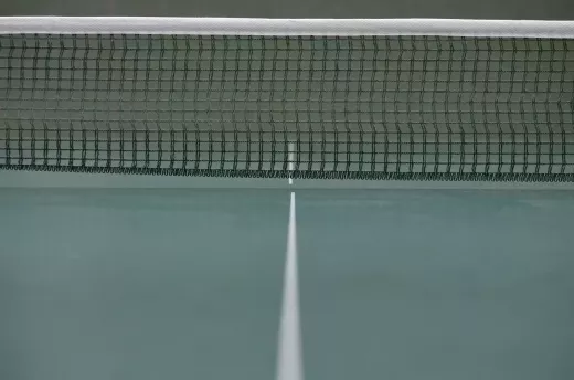How to Choose the Right Table Tennis Table for You